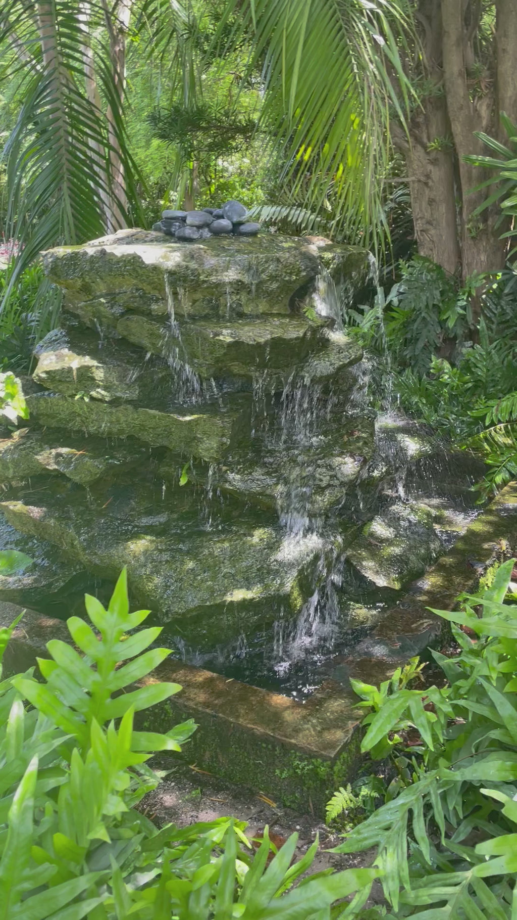 The Eternal Tree Gypsy Bottle